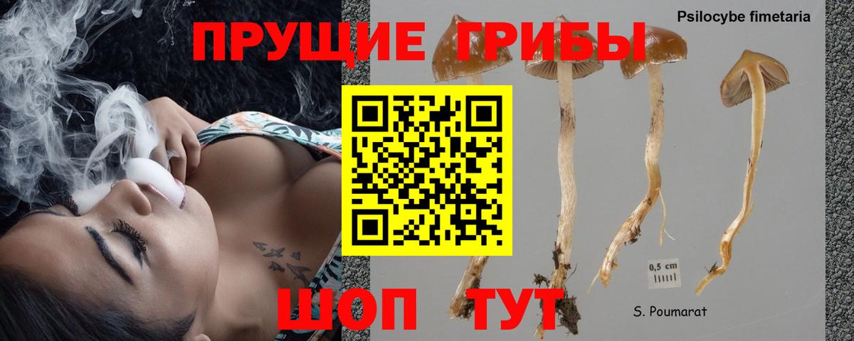 Псилоцибиновые грибы Cubensis  Вход с VPN  Родники 